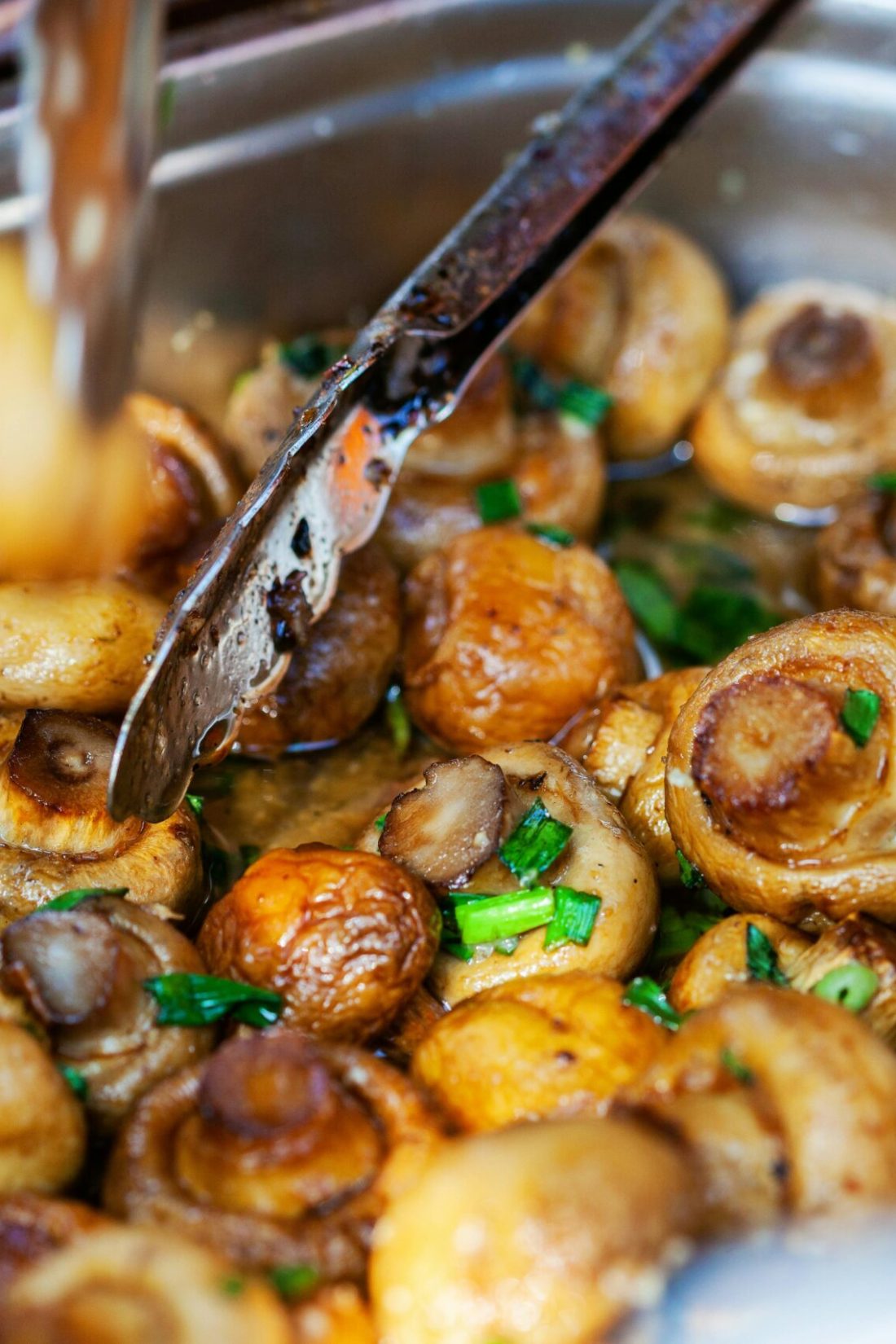 Close Up Photo of Mushrooms